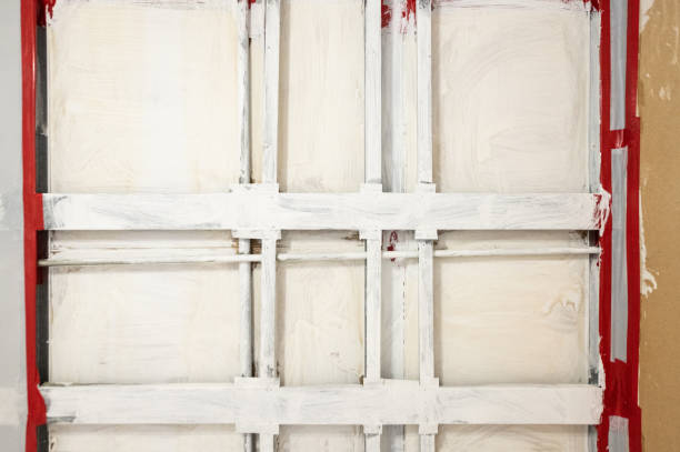 Best Forensic Mold Investigation  in Fort Rucker, AL