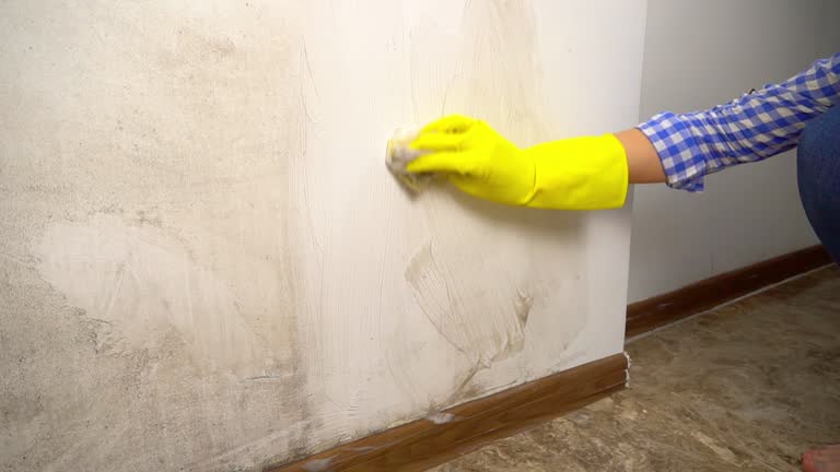 Best Post-Construction Mold Inspection  in Fort Rucker, AL